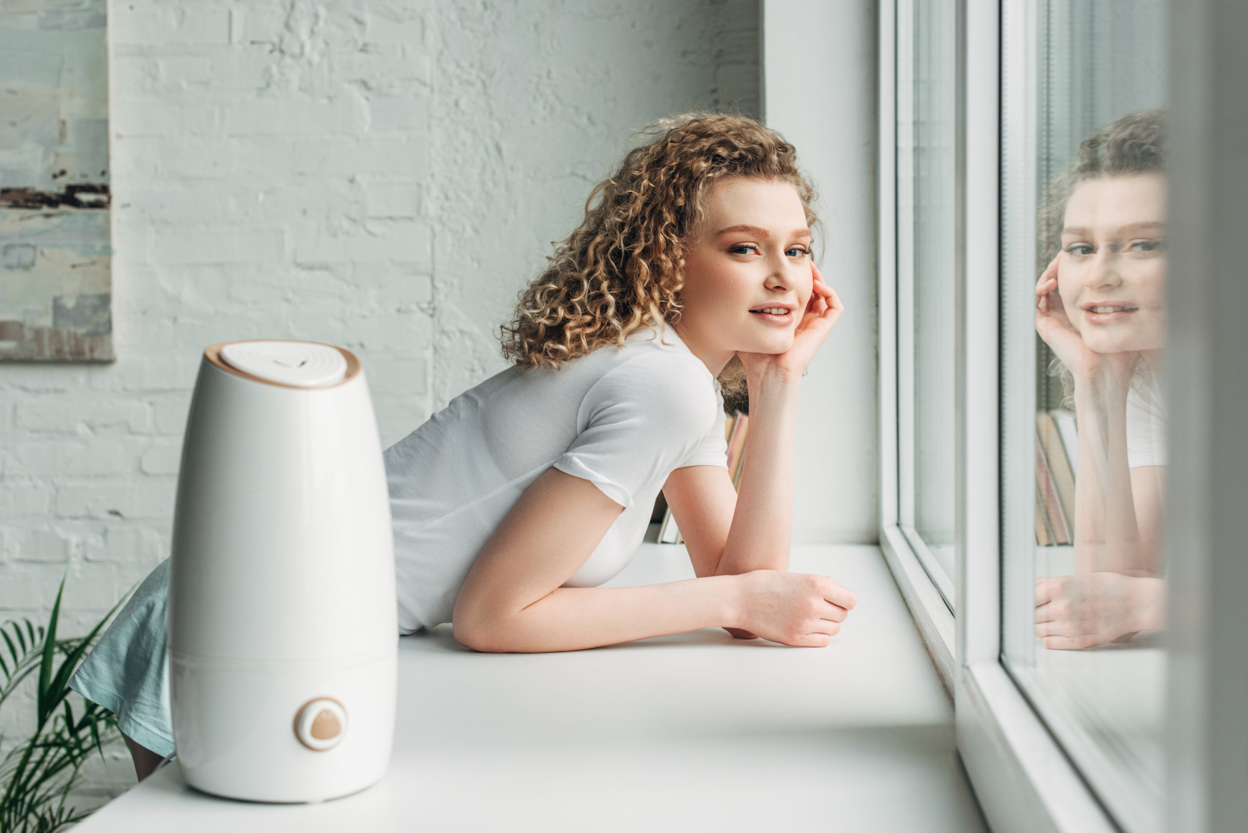 The Best Advice for Investing in a Good Air Purifying System